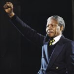 nelson Mandela evergrow